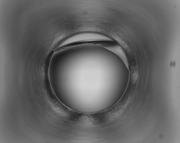 X0000091340207200708171417