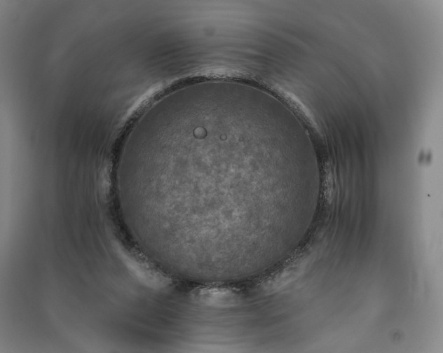 X0000091340208200708171417