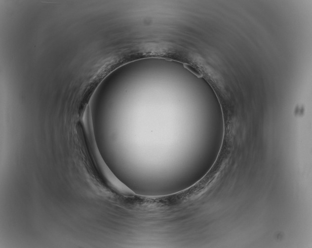 X0000091340209200708171417