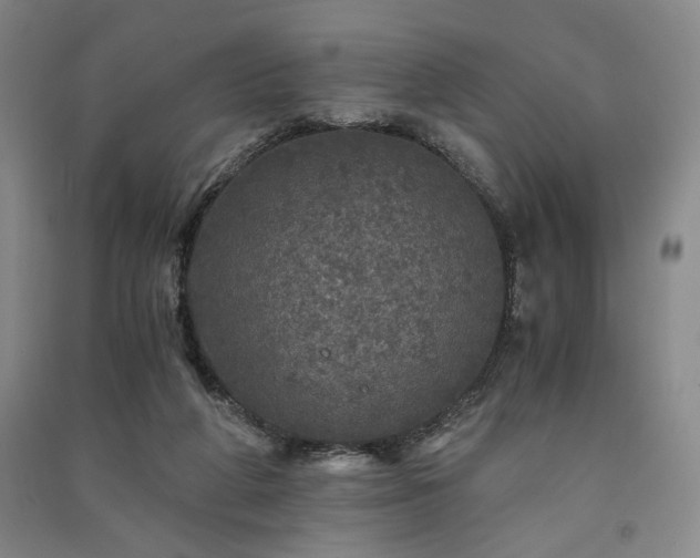 X0000091340210200708171417