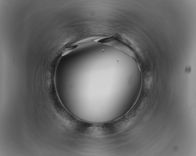 X0000091340211200708171417