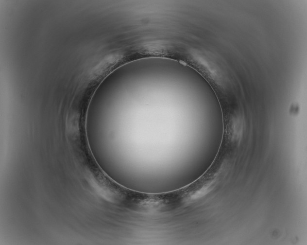 X0000091340213200708171417