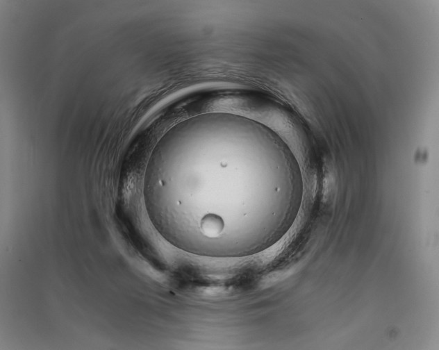 X0000091340215200708171417