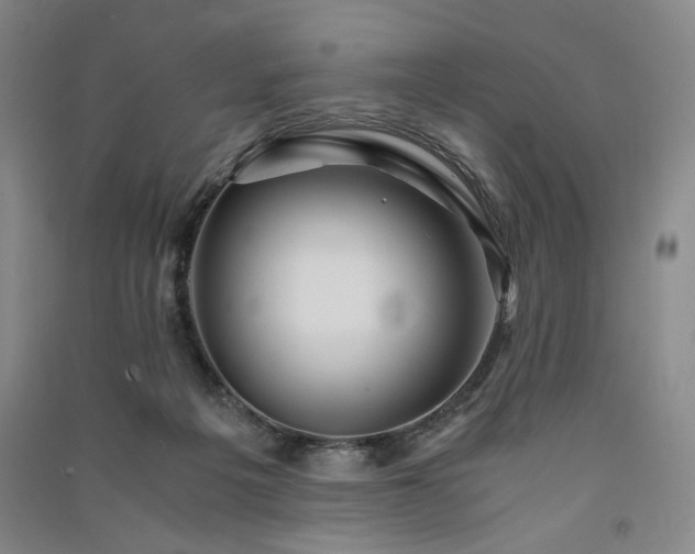 X0000091340217200708171417