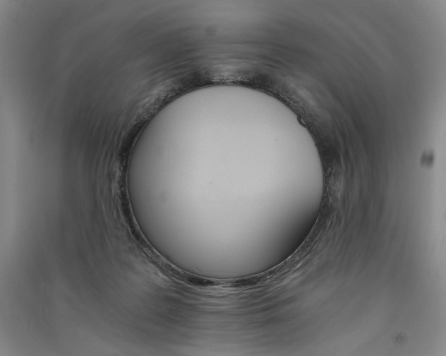 X0000091340219200708171417