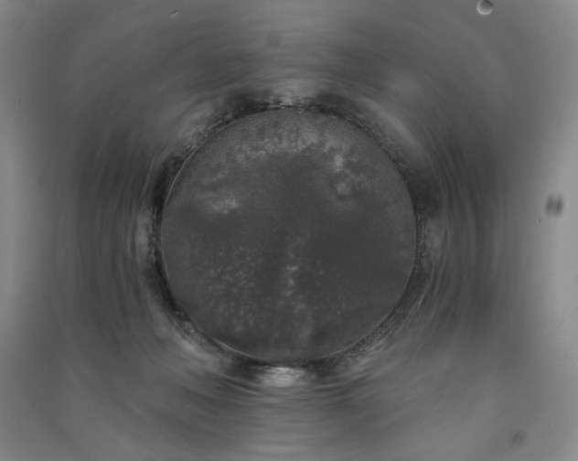 X0000091340222200708171417