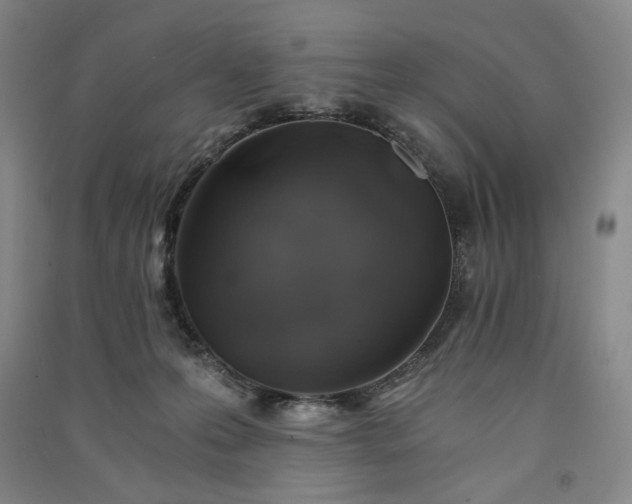 X0000091340223200708171417