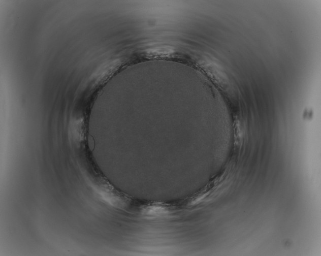 X0000091340224200708171417