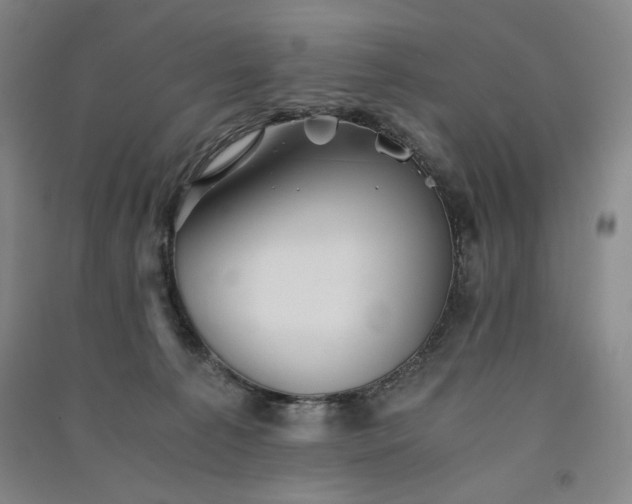 X0000091340225200708171417