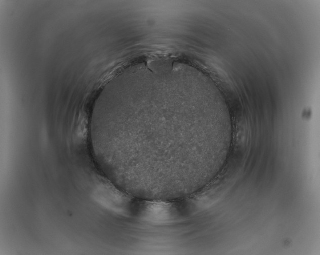 X0000091340226200708171417