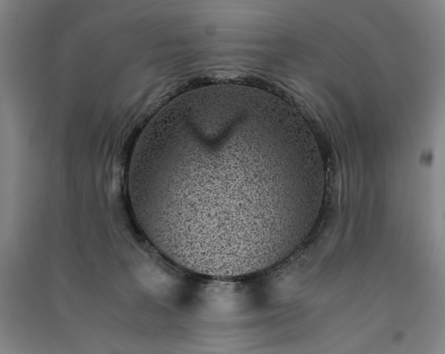 X0000091340227200708171417