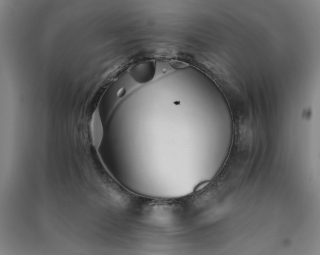 X0000091340228200708171417