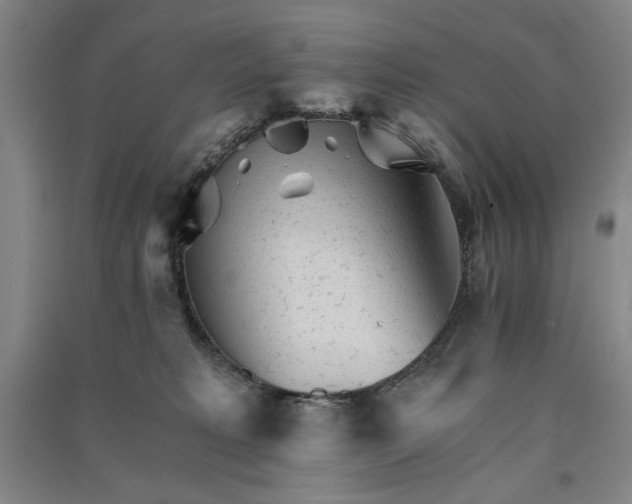 X0000091340229200708171417