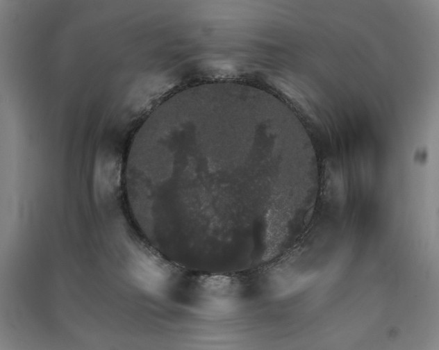 X0000091340230200708171417