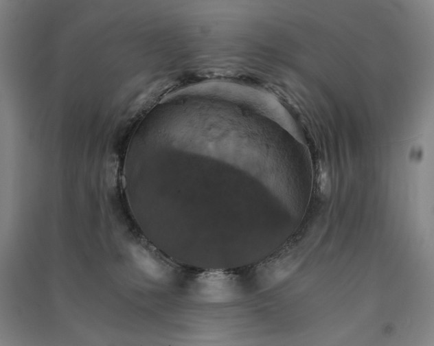 X0000091340231200708171417