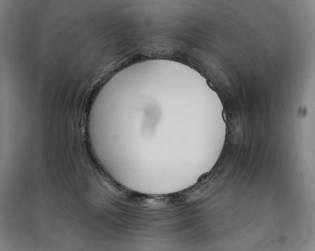 X0000091340232200708171417