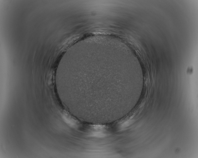 X0000091340233200708171417