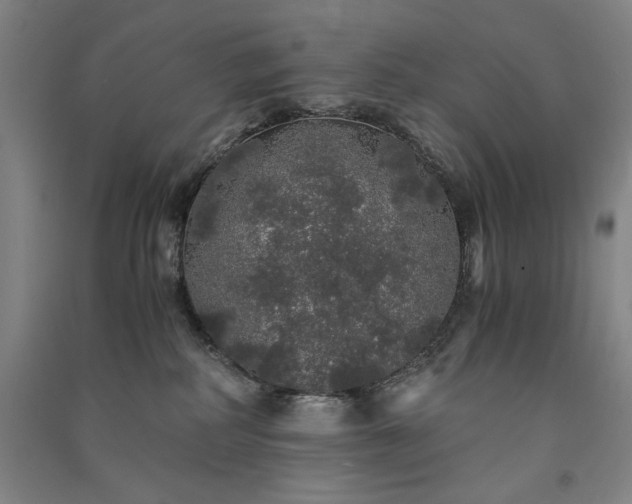 X0000091340234200708171417