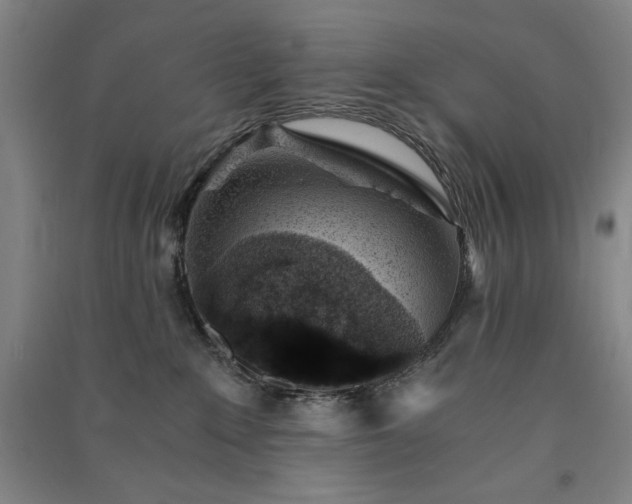 X0000091340235200708171417