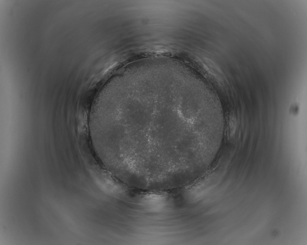 X0000091340236200708171417