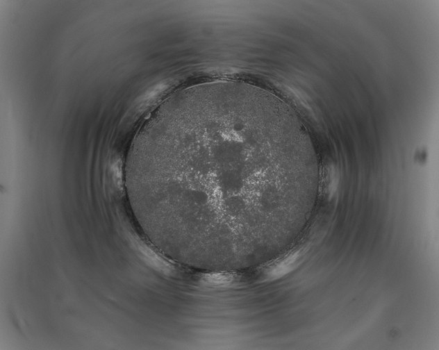 X0000091340238200708171417