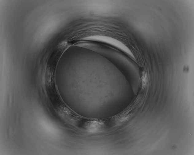 X0000091340239200708171417