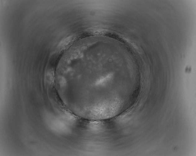 X0000091340240200708171417