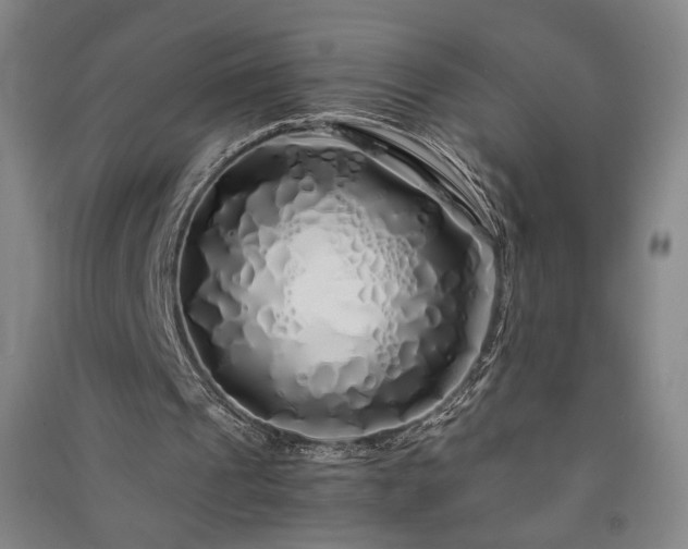 X0000091340241200708171416