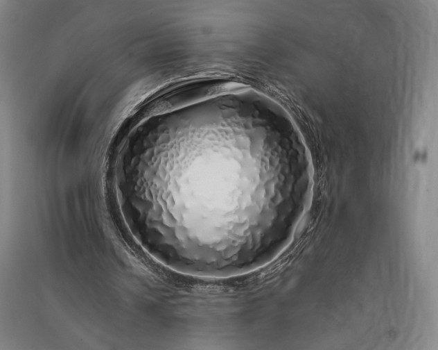 X0000091340242200708171416