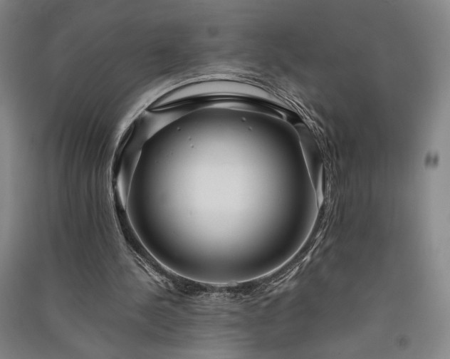 X0000091340244200708171416