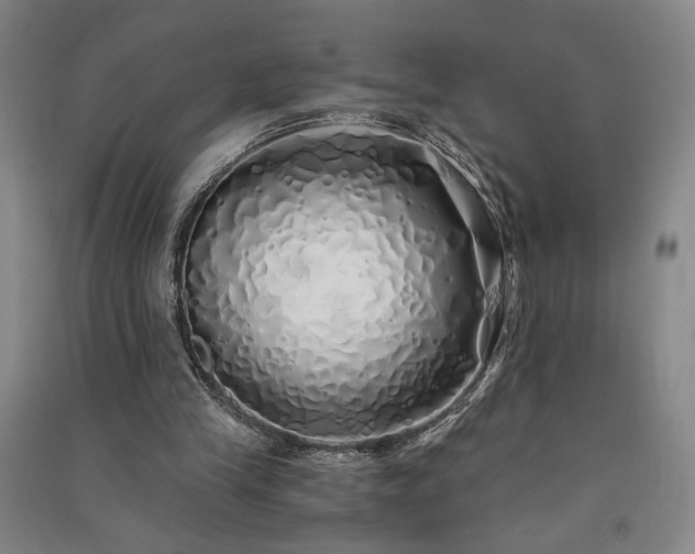 X0000091340245200708171416