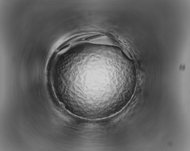 X0000091340246200708171416