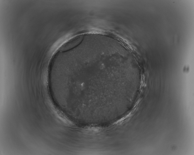 X0000091340247200708171416