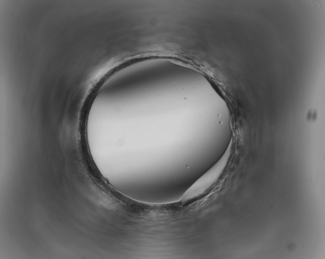 X0000091340248200708171416