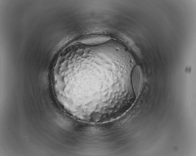 X0000091340250200708171416