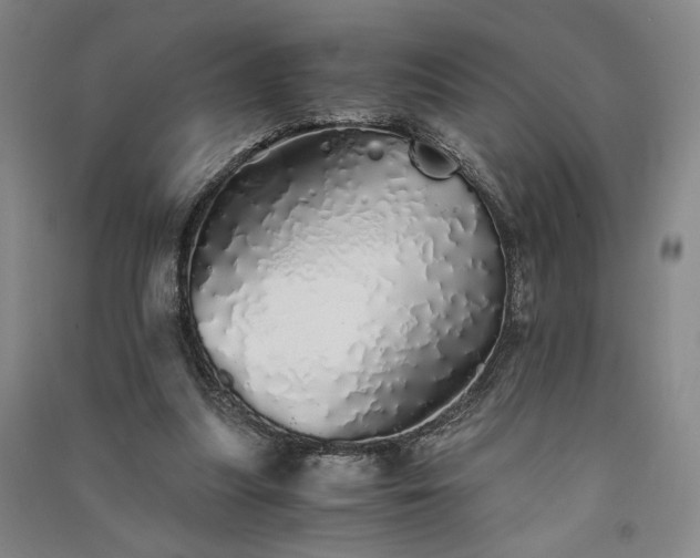 X0000091340251200708171416