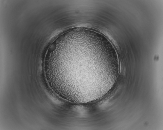 X0000091340253200708171416