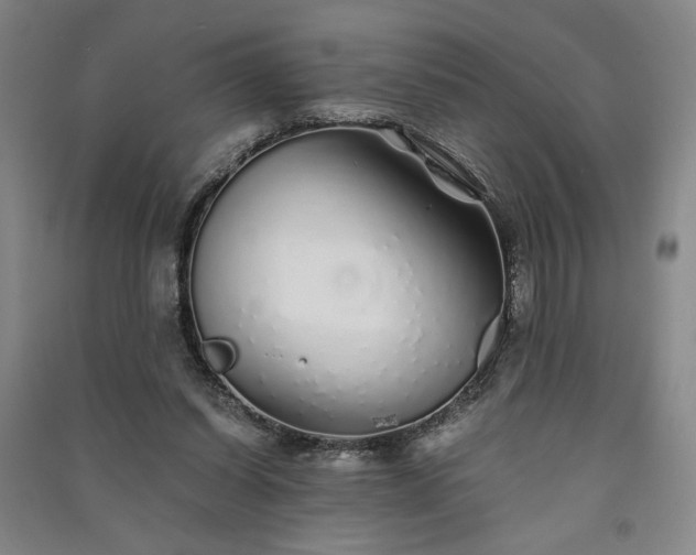 X0000091340254200708171416