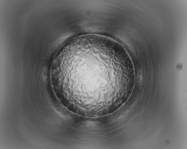 X0000091340255200708171416