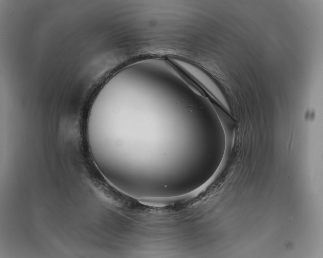 X0000091340256200708171416