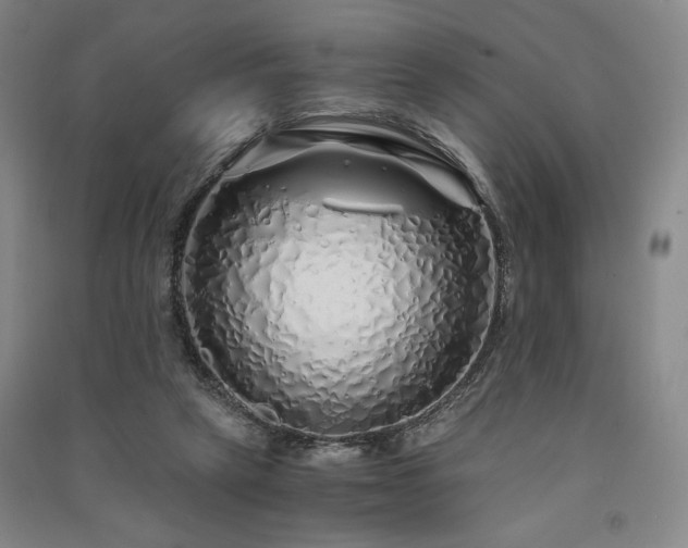 X0000091340257200708171416