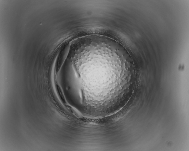 X0000091340258200708171416