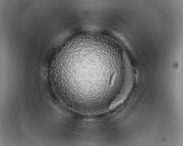 X0000091340259200708171416