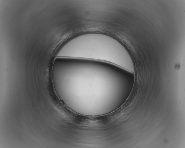 X0000091340260200708171416