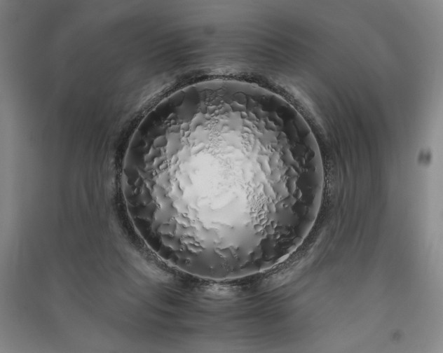 X0000091340261200708171416