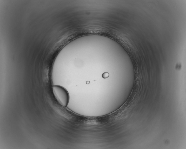 X0000091340262200708171416