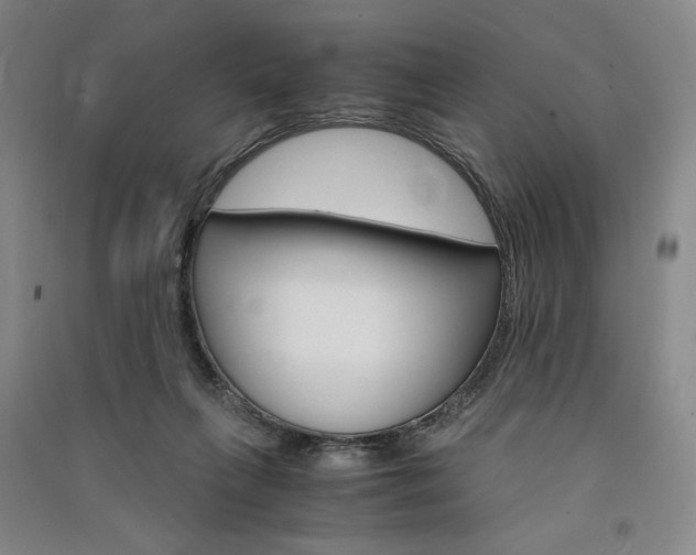 X0000091340263200708171416