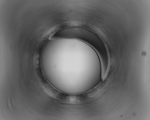 X0000091340264200708171416