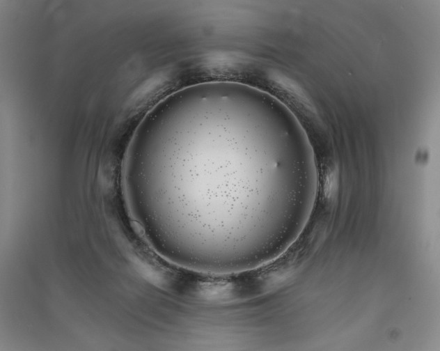 X0000091340266200708171416