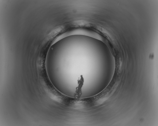 X0000091340268200708171416